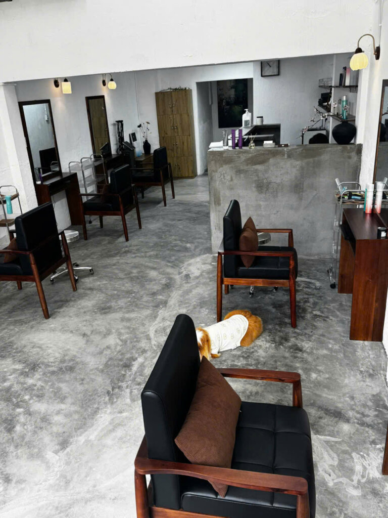 Bán Nhà Mặt Tiền Huỳnh Tịnh Của, Quận 3, 142m² (4,2m x 20m), 4 Tầng, #716523